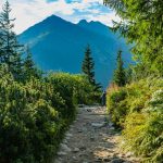 Physical Benefits of Being Outdoors: Why Nature Is the Ultimate Gym