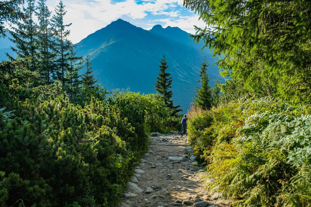 Physical Benefits of Being Outdoors: Why Nature Is the Ultimate Gym